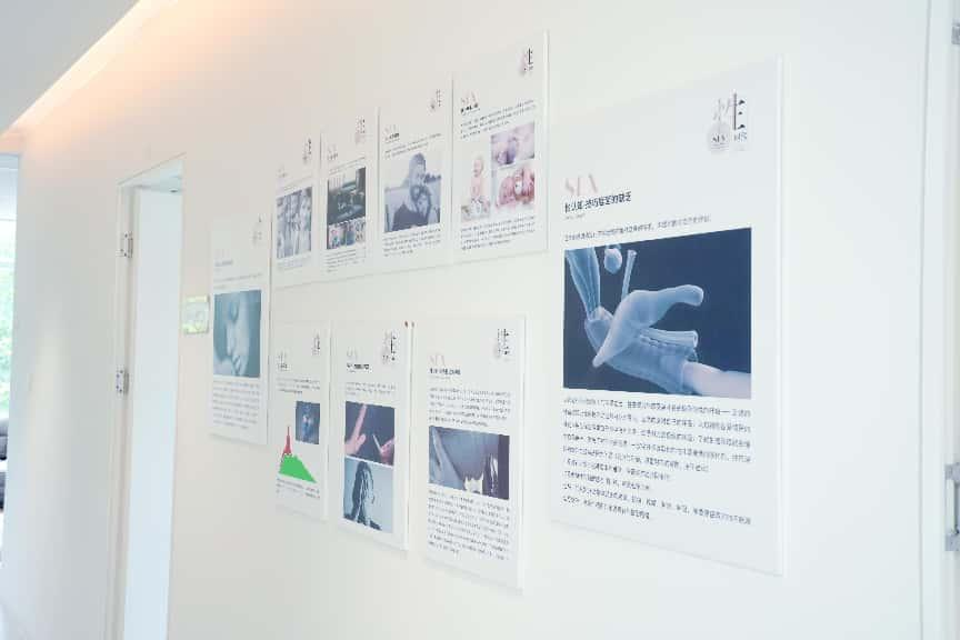 脱细胞生物补片材料展示
